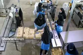۱۰۰ هزار میلیارد تومان از منابع بانکی از خراسان رضوی خارج می‌شود | صنایع استان لنگ سرمایه در گردش