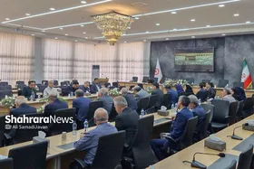 تاکید نمایندگان خراسان رضوی در مجلس بر حمایت از توانمندسازی معلولان و مددجویان بهزیستی | پیشگیری از معلولیت ها ضروری است + ویدئو