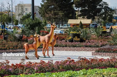 جشنواره‌ی طعم و رنگ پاییز