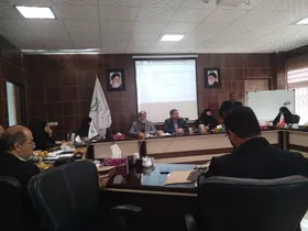 ایجاد ۸ کارگروه تخصصی زن و خانواده در مجمع بسیجیان استان خراسان رضوی&nbsp;