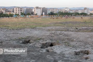 همزیستی با روباه‌ها