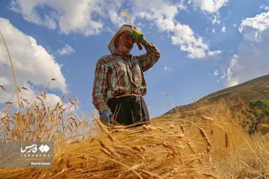 پدر، جانِ زندگی
