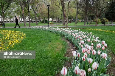 گزارش تصویری | جشنواره گل‌های لاله در مشهد