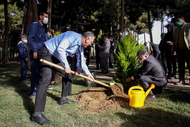 کاشت درخت صلح و دوستی با حضور نمایندگان کشورهای همسایه در مشهد