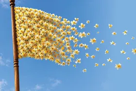 چگونگی هدایتگری ولی&zwnj;عصر (عج) در دوران غیبت | امام&zwnj;زمان&zwnj;(عج) ناظر بر اعمال ماست