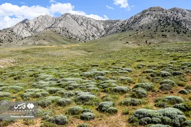 ایران زیباست | «عشایر کُرمانج»