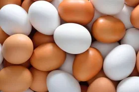 قیمت امروز مرغ، تخم مرغ و گوشت در مشهد (۲۷ خرداد ۱۴۰۵) | شانه تخم مرغ به کمتر از ۳۰۰ هزار تومان کاهش یافت