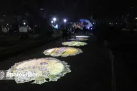 آغاز فعالیت مجدد جشنواره هنر‌های نوری مشهد از چهارشنبه ۱۵ فروردین‌ماه