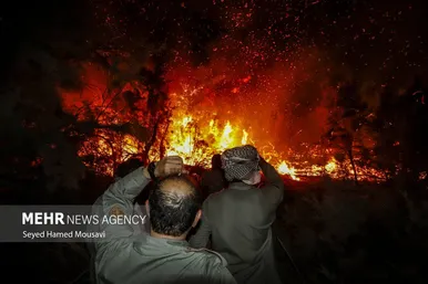 عکس‌هایی از آتش‌سوزی پارک ملی کرخه