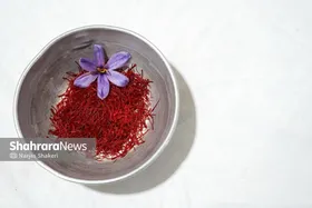 ۱۴ سکه سقف مهریه نیست | نباید حقوق زنان در نکاح را صرفاً به مهریه خلاصه کنیم