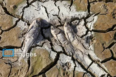 گزارش تصویری | سد خاکی عبدل‌آباد بجنورد خشک شد