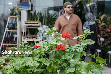 حال و هوای بازار گل در آستانه عید نوروز