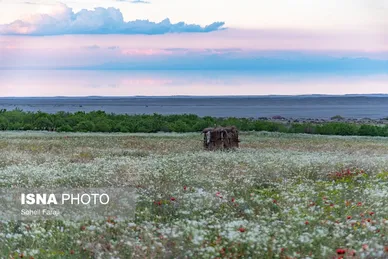 ایران زیباست | طبیعت هزار رنگ جلگه ارومیه
