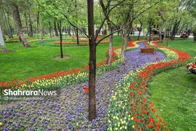 جشنواره&zwnj;های شهری مشهد فرصتی برای نشاط مومنانه و تزریق حال خوب به شهروندان است