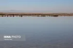 نفس‌های تالاب بین‌المللی «گاوخونی» به شماره افتاد + عکس