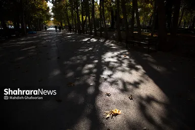 رنگ پاییز در پارک ملت مشهد
