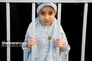 گزارش تصویری | اربعین حسینی در کربلای معلی_ ۲
