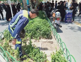 آماده&zwnj;باش نیرو&zwnj;های فضای سبز محدوده حرم رضوی در تاسوعا و عاشورای حسینی