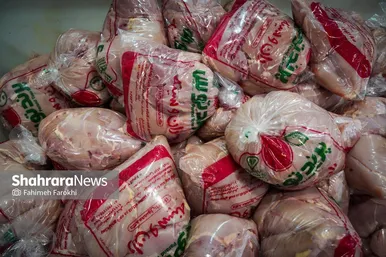 گزارش تصویری | بازدید خبرنگاران از یک مرکز فرآوری گوشت در مشهد