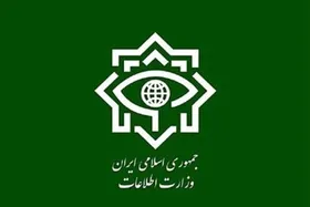 بازداشت ۱۸ نفر از مزدوران شبکه تروریستی اینترنشنال توسط وزارت اطلاعات