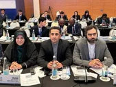 ثابتی: حقوق زنان ابزار فریب و بازی سیاسی رسانه‌های غربی شده است