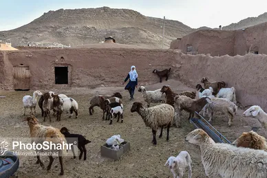 درآمدزایی اهالی روستای چاه نسر به کمک پنل های خورشیدی