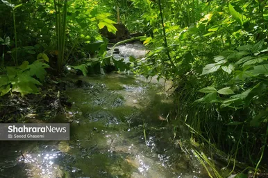 طبیعت زیبای روستای کردینه در حوالی مشهد