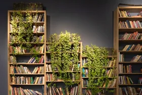علیرضا محمودی ایرانمهر: ادبیات را گلخانه&zwnj;ای نکنیم