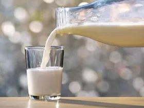 درصد چربی کمتر از ۱.۵ در شیر کم&zwnj;چرب تخلف است