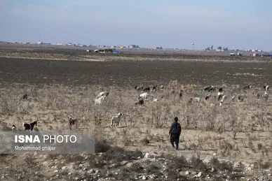 گزارش تصویری | سدهای تشنه استان گلستان - دی ماه ۱۴۰۴