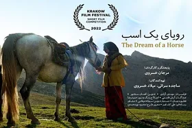 مستند &laquo;رویای یک اسب&raquo; در راه ایتالیا