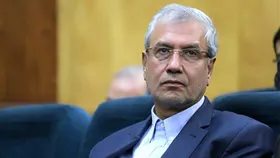 اظهارات سخن&zwnj;گوی دولت درباره مجلس یازدهم