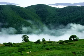 معاون سابق سازمان منابع طبیعی: مدیریت درختان شکسته و افتاده در جنگل&zwnj;های هیرکانی چالش&zwnj;برانگیز است