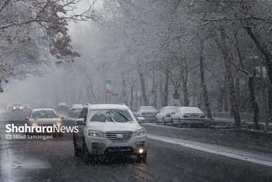 بارش برف در مشهد
