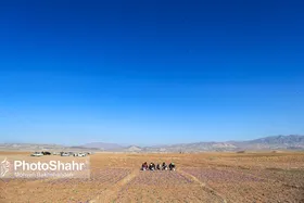قطعی ۵ ساعته چاه&zwnj;های آب کشاورزی یک آسیب جدی است