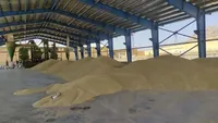 آمادگی ورود به فصل خرید تضمینی گندم در خراسان رضوی
