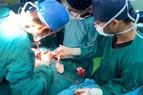 انتقال هوایی قلب اهدایی از مشهد به تهران | پیوند موفقیت&zwnj;آمیز بود
