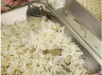 واکنش دانشگاه کاشان به حادثه مارمولک در غذای سلف دانشجویی