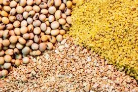 دولت وعده تأمین نهاده را به تولیدکنندگان داد