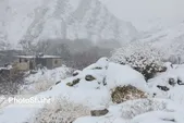 آغاز بارش‌ها و کاهش محسوس دما در خراسان رضوی (٢٣ فروردین ماه ١۴٠٣)