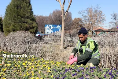 گل‌کاری در نقاط مختلف شهر مشهد