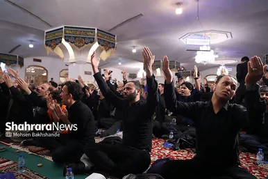 مراسم احیای ناشنوایان در حرم مطهر امام رضا(ع)