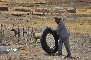 پدر، جانِ زندگی
