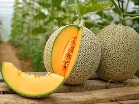 ۷ خاصیت جادویی این میوه تابستانی که شما را شگفت&zwnj;زده می&zwnj;کند