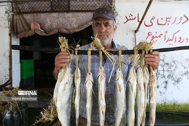 عکس‌هایی از مراحل دودی کردن ماهی