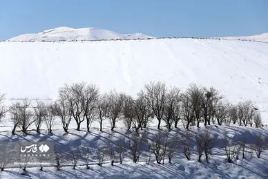 ایران زیباست | طبیعت برفیِ «هندودر»