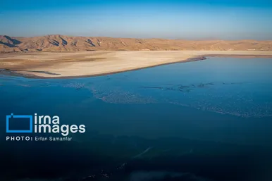 گزارش تصویری | شکوه مهاجرت در دریاچه مهارلو