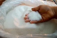 کمبودی در عرضه شکر نداریم