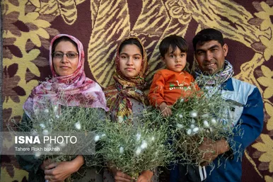 گزارش تصویری | نوغانداری، تولید ثروت از کرم ابریشم