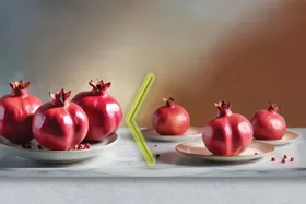 نیکوکاری به سبک بزرگان، بر&zwnj;اساس آموزه&zwnj;های دینی
